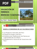 Valuación de Terrenos Rústicos y Cultivo