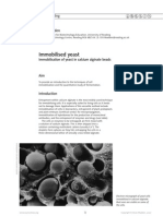 Immobilised Yeast: NCBE, University of Reading