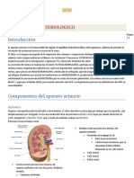 Nefrologia y Urologia