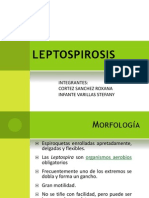 Diapos de Leptospira