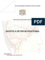 Neuroapostila