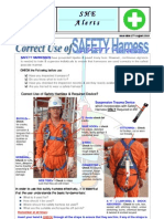 Safety Harness