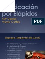 Elápidos