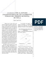 Introducción Al Estudio Paleontológico de Los Yacimientos Fósiles Del Término Municipal de Yecla.