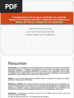 PDF Documento