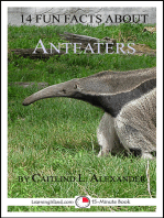 14 Fun Facts About Anteaters: A 15-Minute Book