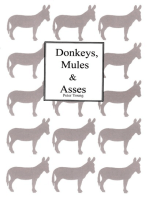 Donkeys Mules & Asses