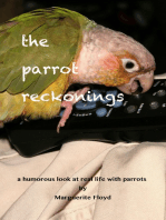 The Parrot Reckonings