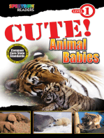 CUTE! Animal Babies: Level 1