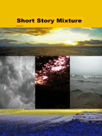 Short Story Mixture