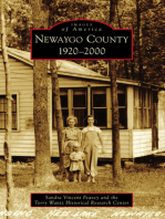 Newaygo County: 1920-2000