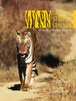 Land of the Striped Stalker: Wildlife of Madhya Pradesh