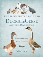 The Illustrated Guide to Ducks and Geese and Other Domestic Fowl: How To Choose Them - How To Keep Them