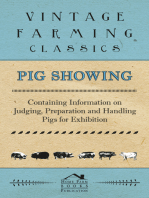 Pig Showing - Containing Information on Judging, Preparation and Handling Pigs for Exhibition