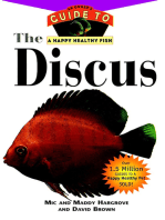 The Discus: An Owner's Guide to a Happy Healthy Fish