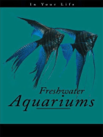 Freshwater Aquariums in Your Life