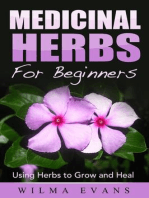 Medicinal Herbs For Beginners: Using Herbs to Grow and Heal