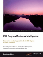 IBM Cognos Business Intelligence