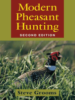 Modern Pheasant Hunting