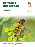 Britain's Hoverflies: A Field Guide - Revised and Updated Second Edition