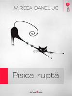 Pisica ruptă