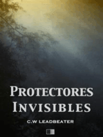 Protectores Invisibles