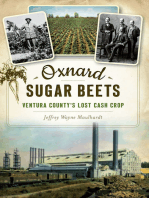 Oxnard Sugar Beets: Ventura County's Lost Cash Crop