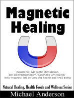 Magnetic Healing: Transcranial Magnetic Stimulation, Bio Electromagnetism, Magnetic Wristbands- How Magnets can be used for Health and Well-being: Natural Healing, Health Foods and Wellness Series, #1