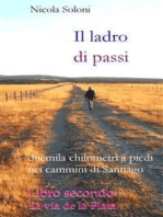 Il ladro di passi. Libro secondo. La via de la Plata: Duemila chilometri a piedi nei cammini di Santiago