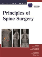 Principles of Spine Surgery