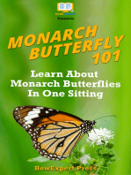 Monarch Butterfly 101: Learn About Monarch Butterflies In One Sitting