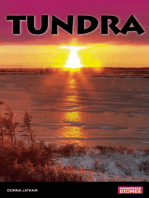 Tundra