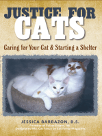 Justice for Cats: Caring for Your Cat & Starting a Shelter