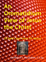 An Ommatidium View of Jesus, the Christ (A bee’s eye view of Jesus)