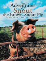 The Adventures of Snout the Brown-Snout Pig: A Modern Fairytale Series