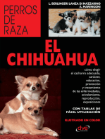 El Chihuahua