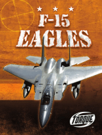 F-15 Eagles