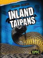 Inland Taipans