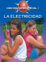 La electricidad: Electricity