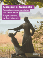 A pie por el Evangelio: Peregrinación contemplativa por Tierra Santa