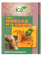 Las moscas de la fruta