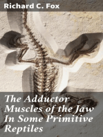 The Adductor Muscles of the Jaw In Some Primitive Reptiles