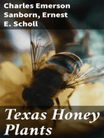 Texas Honey Plants