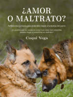 ¿Amor o maltrato?: Reflexiones y claves para entender mejor el entorno del perro