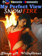 My Perfect View Snowfire