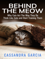 Behind The Meow: Why Cats Act The Way They Do, Think Like Cats And Start Training Them