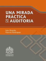 Una mirada práctica de la auditoría