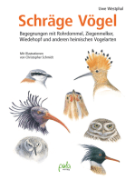 Schräge Vögel: Begegnungen mit Rohrdommel, Ziegenmelker, Wiedehopf und anderen heimischen Vogelarten