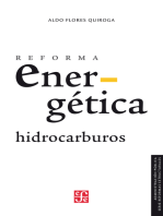 Reforma energética. Hidrocarburos