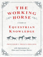 The Working Horse - A Guide on Equestrian Knowledge with Information on Shire and Carriage Horses